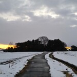 さかなどころ ともさき - 