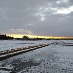 さかなどころ ともさき - 