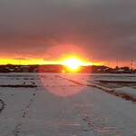 さかなどころ ともさき - 