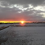 さかなどころ ともさき - 