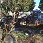 うれしいもの屋 - 店内