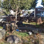 うれしいもの屋 - 店内