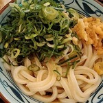 Marugame Seimen - 