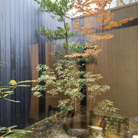 炭焼きうなぎ・かしわ 登河 - 1階奥の中庭席