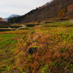 秋山郷結東温泉 かたくりの宿 - 結東の石垣田