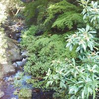 一汁ニ菜 うえの 箕面店 - 