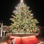 ラ ターブル ドゥ ジョエル・ロブション - 恵比寿ガーデンプレイスの夜景です⑰