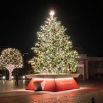 ラ ターブル ドゥ ジョエル・ロブション - 恵比寿ガーデンプレイスの夜景です⑱