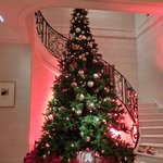 ラ ターブル ドゥ ジョエル・ロブション - 店内の風景です