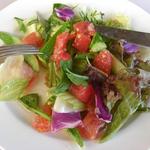 葡萄の花 - サラダ