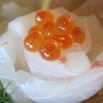 伊豫水軍 - 薔薇！美しい