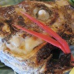 伊豫水軍 - この鯛は大物やったぞん