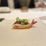 カンテサンス - 車海老　銀杏と島らっきょ