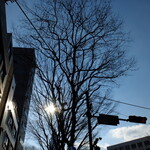 志な乃 - 季節季節のblueに見惚れる