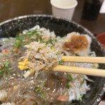 鳥羽答志島 浜与本店 - 