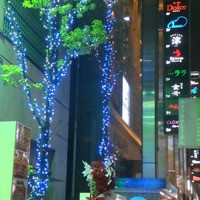 赤坂 金舌 - 