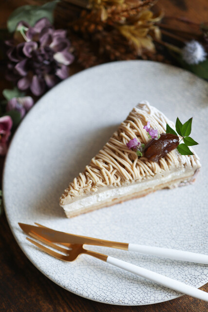 biquette Shikando Ten photo 3