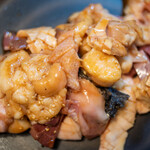 河の家 - 2021.12 ミックスホルモン 500g（100g 350円）