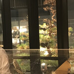 炭火焼 鳥清 - ビルの３階なのに松の木が！！