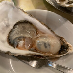 Oyster Bar ジャックポット - 