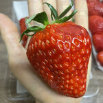 姫路ハートフル観光農園 - 