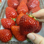 姫路ハートフル観光農園 - 