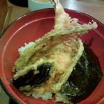 16536135 - セットの天丼