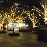 エントランスの前にクリスマスイルミネーションが華やか。