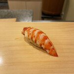 鮨 やすみつ - 車海老