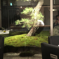 ル　ピニョン - 