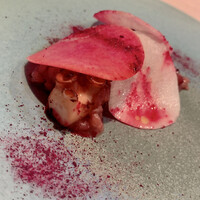 Hirovanna - 蛸、リゾット、大根、ビーツなど