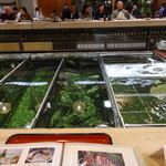 博多料亭 稚加榮 - 臭い香りが無い生簀の中はお魚がいっぱい