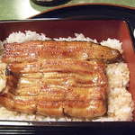 うなぎ秋本 - 鰻重