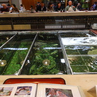 稚加榮 本店 - 臭い香りが無い生簀の中はお魚がいっぱい