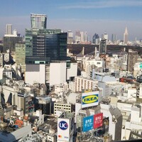 日本料理 旬彩 - 