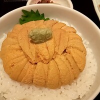 函館うに むらかみ 日本生命札幌ビル店 -  函館うに むらかみ 日本生命札幌ビル店 -