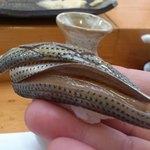 寿司割烹 魚紋 - 小鰭。リフトぉ(^o^)/