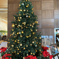 中国料理 四川 - 