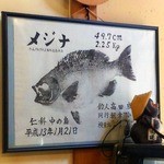 さしみ処 鮮海 - 葛山･さしみ処 鮮海(せんみ:生鮮たかだ)店内魚拓[ミサワホームセラミック静岡支店裾野市御宿定期借地権分譲編](2012.12)