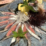 せいもん払い - 