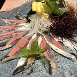 せいもん払い - 