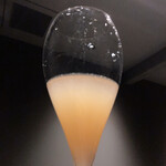 北海道焼肉 北うし - 