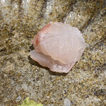 馳走 啐啄一十  - 