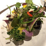 レフェルヴェソンス - 