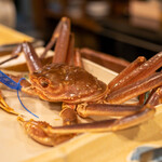 うを徳 - 2021.12 島根松葉蟹