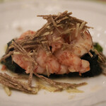 ペレグリーノ - 