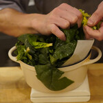 ペレグリーノ - 