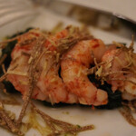 ペレグリーノ - 