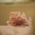 ペレグリーノ - 