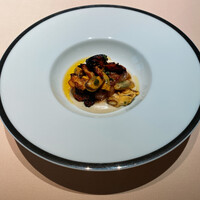 フォリオリーナ・デッラ・ポルタ・フォルトゥーナ - 